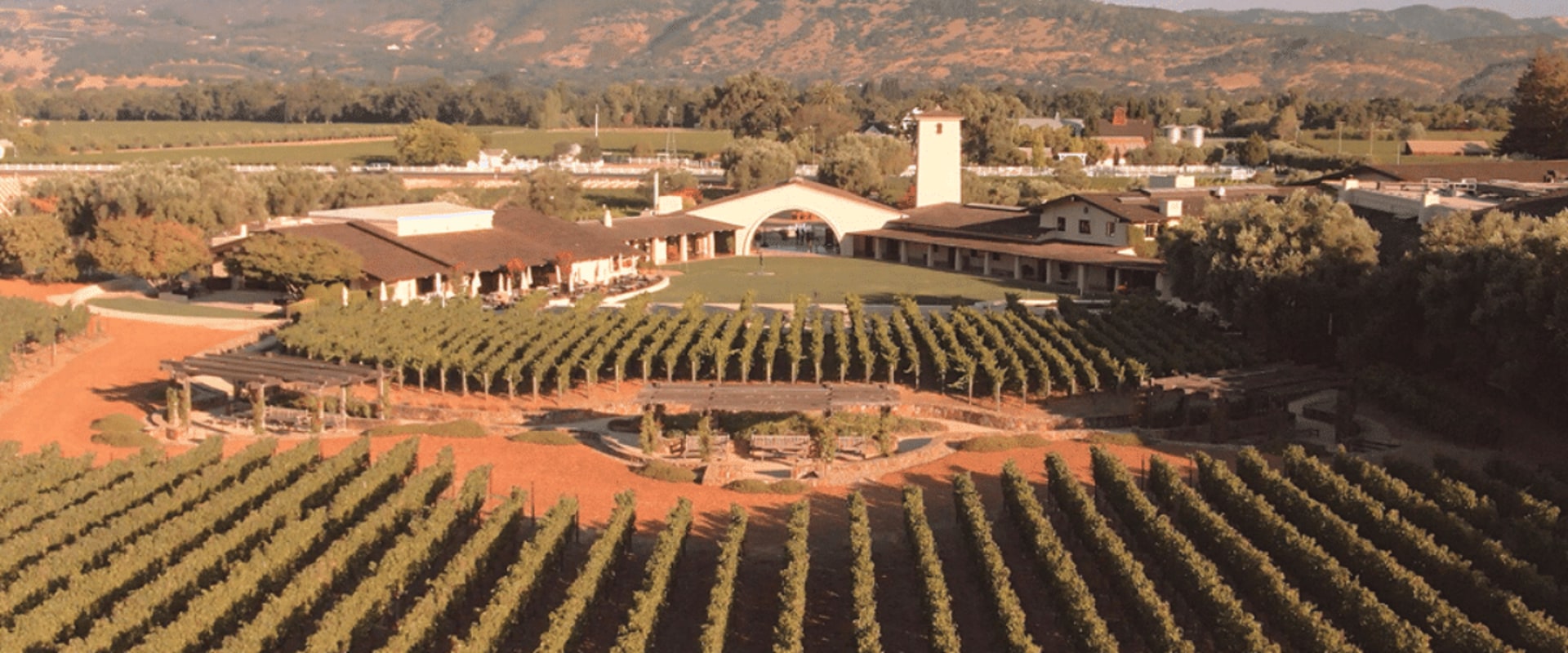 The Top Wineries in the World: A Wine Expert's Perspective