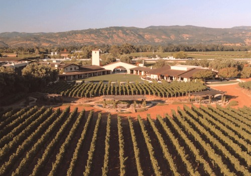 The Top Wineries in the World: A Wine Expert's Perspective