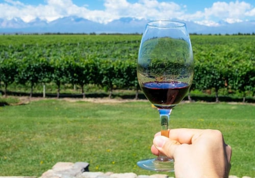 The Best Red Wines in America: An Expert's Guide